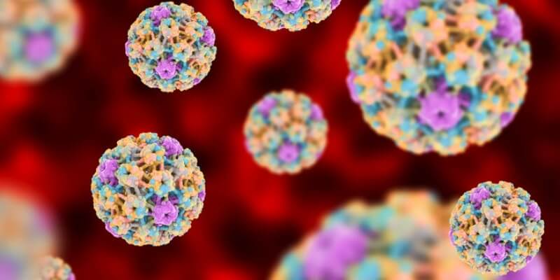 What You Need to Know About Human Papillomavirus (HPV)